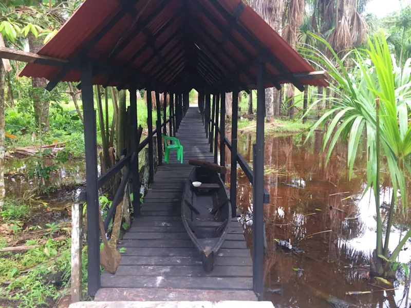 Amazon Lodge Varillal outside of Iquitos is perfect for a relaxing stay