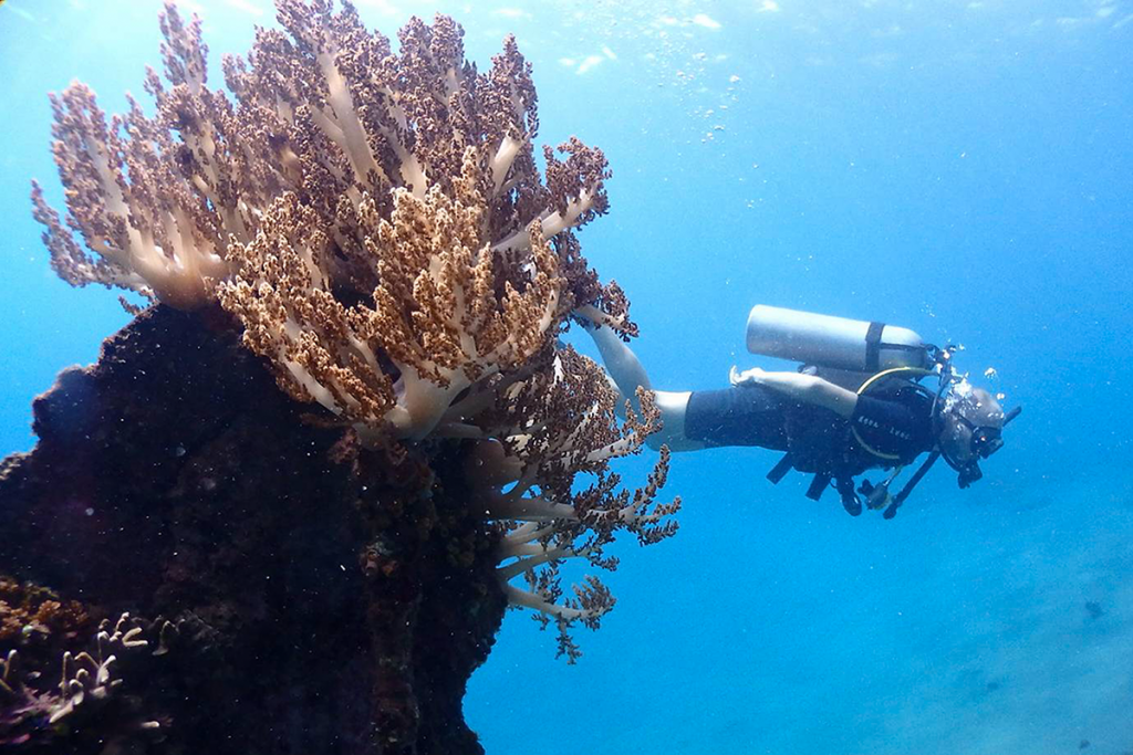 Check that adventure activities like scuba diving are covered on your travel insurance policy