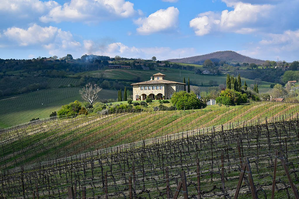 Best wineries in Umbria to visit in 2021 - Career Gappers