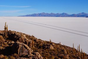 Bolivia scenery salt flats Fish Island