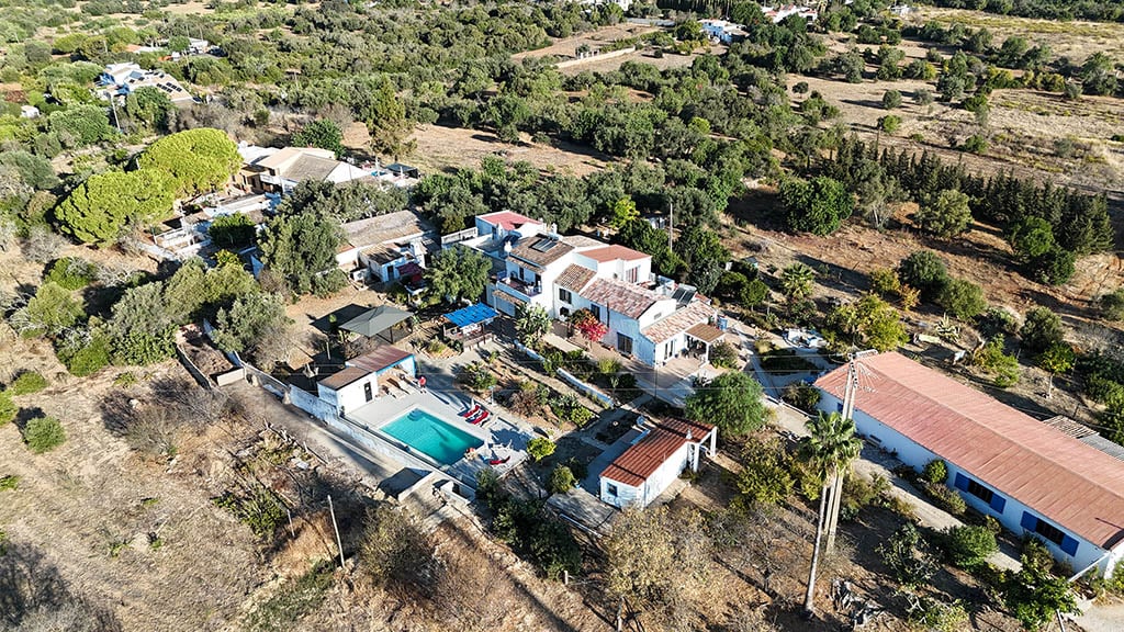Bela Vista Coliving & Retreat trees and orchards
