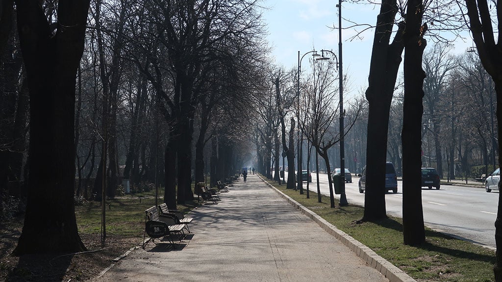 Dorobanți neighbourhood streets