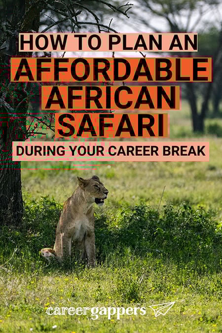 Affordable African Safari How to plan a perfect affordable African safari during your travel career break, including budget tips, top destinations and booking strategies. #AfricanSafari #BudgetSafari #AffordableAfricanSafari