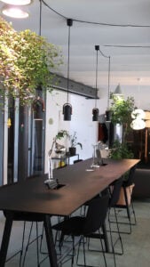 Talent Garden desk plants